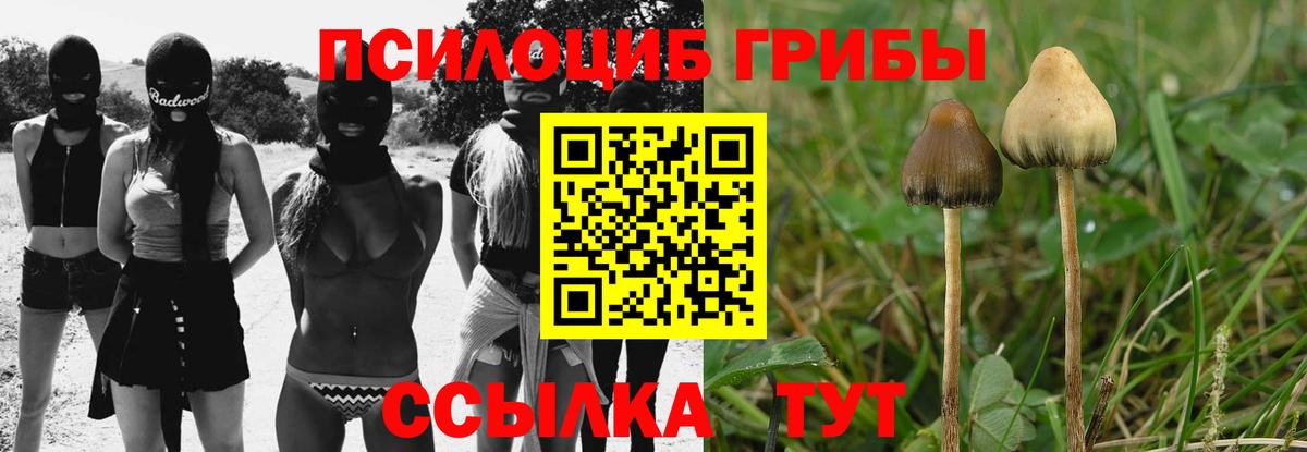 Галлюциногенные грибы Magic Shrooms Заводоуковск