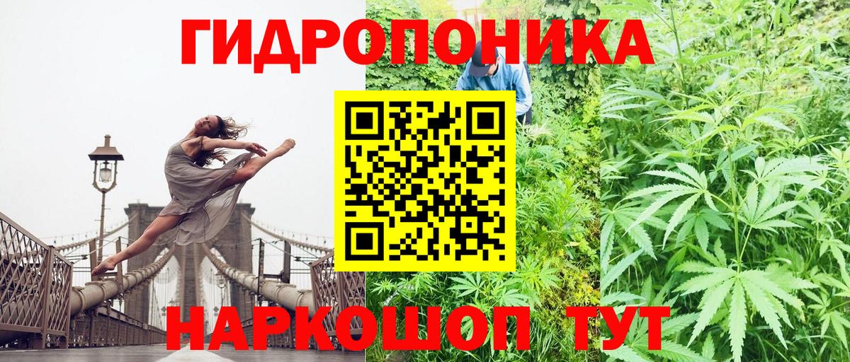 Конопля LSD WEED  Вход с VPN  Каннабис планчик  Каннабис White Widow  Заводоуковск 